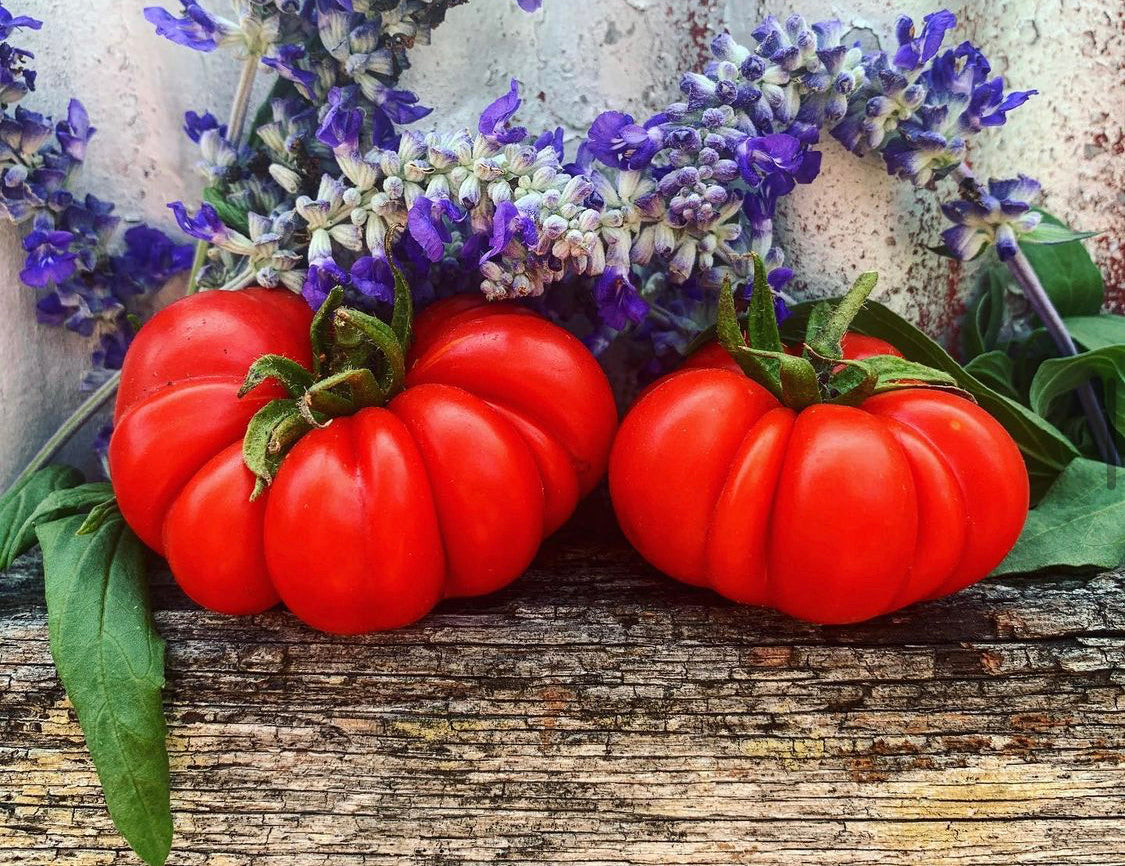 Vegetables Urban Veggie Patch Market