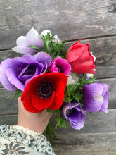 Load image into Gallery viewer, UVP Anemone De Caen Mixed 10pk
