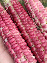 Load image into Gallery viewer, Corn Lavender Clay