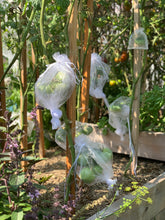 Load image into Gallery viewer, 25 Pack Starter Bundle Organza Bags