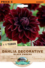 Load image into Gallery viewer, Dahlia Black Embers