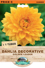 Load image into Gallery viewer, Dahlia Golden Leader