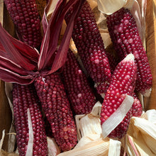 Load image into Gallery viewer, Corn Pink Popping