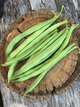 Load image into Gallery viewer, Bean Windsor Long Pod