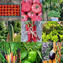 Load image into Gallery viewer, Ultimate Veggie Bundle 20 Pack + Planner