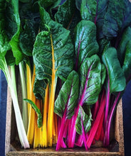 Load image into Gallery viewer, Swiss Chard Rainbow