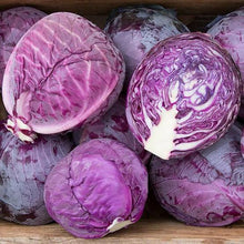 Load image into Gallery viewer, Cabbage Red Express