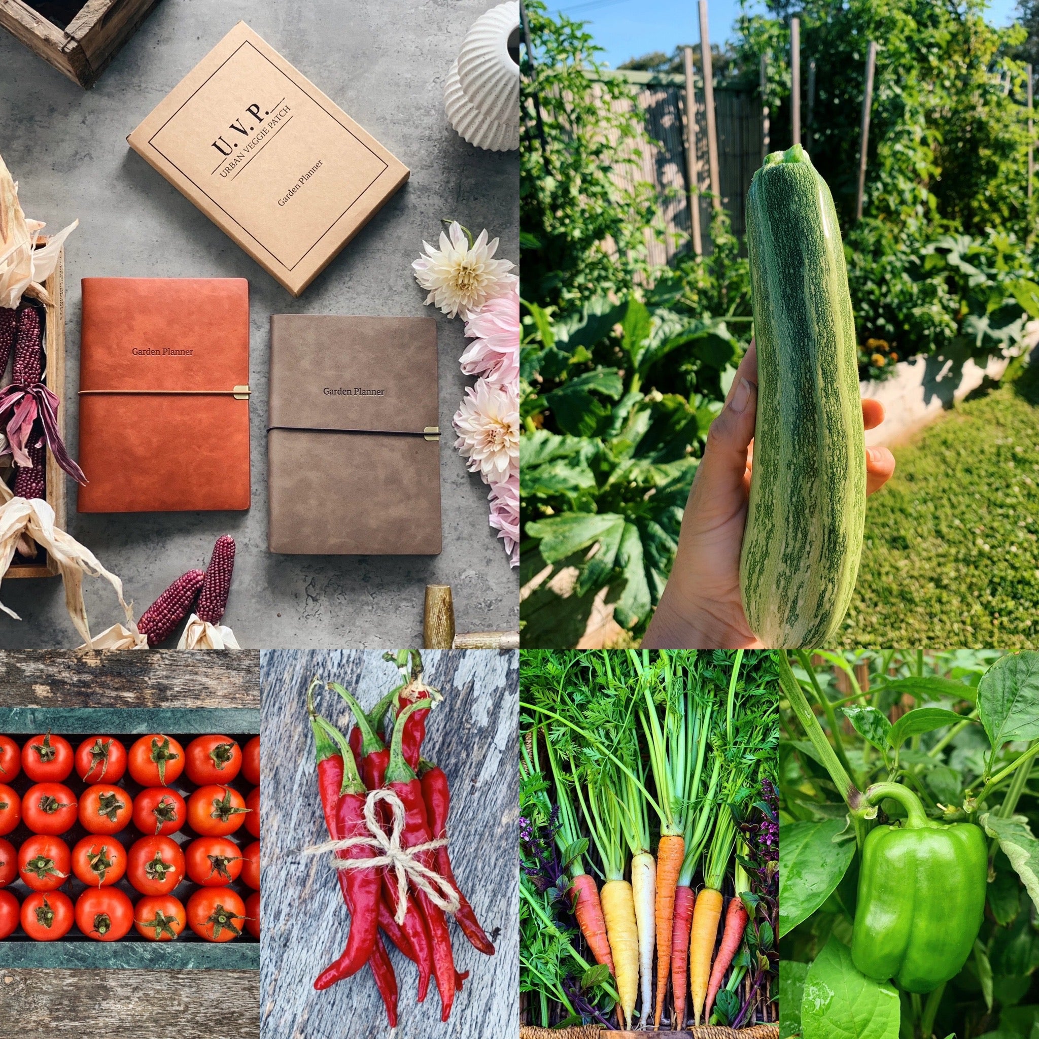 Summer Starter Bundle 10 Pack + Planner Urban Veggie Patch Market
