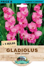 Load image into Gallery viewer, Gladiolus Pink Event
