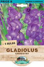 Load image into Gallery viewer, Gladiolus Chemistry
