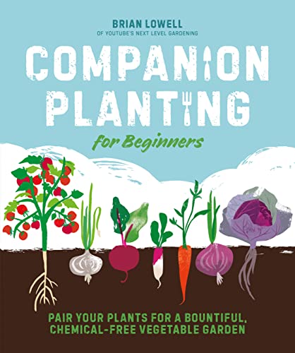 Companion Planting For Beginnings