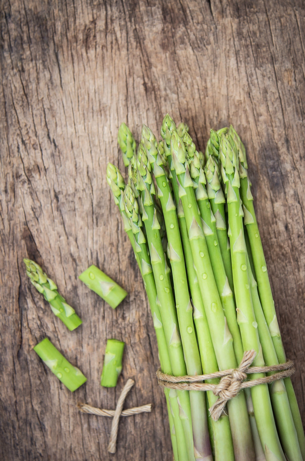 Asparagus Mary Washington