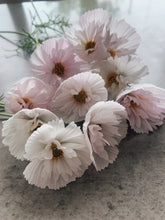 Load image into Gallery viewer, Cosmos Cupcake Mixed
