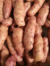 Load image into Gallery viewer, Certified Seed Potato Pink Fir Apple
