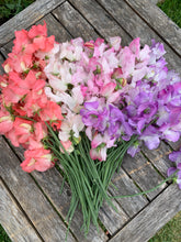 Load image into Gallery viewer, Sweet Pea Spencer Mix
