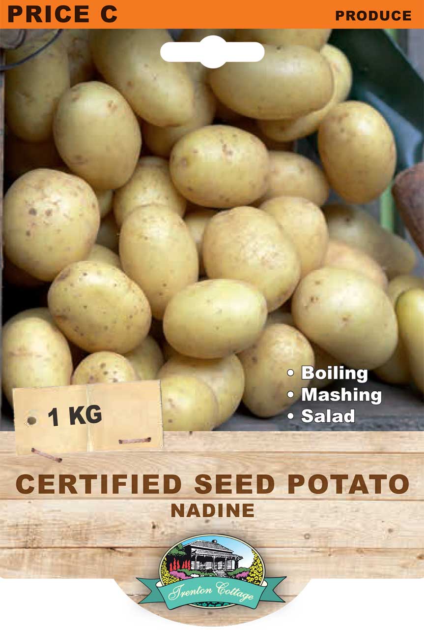 Certified Seed Potato Nadine