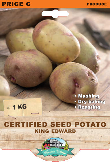 Certified Seed Potato King Edward
