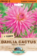 Load image into Gallery viewer, Dahlia Holly Maree
