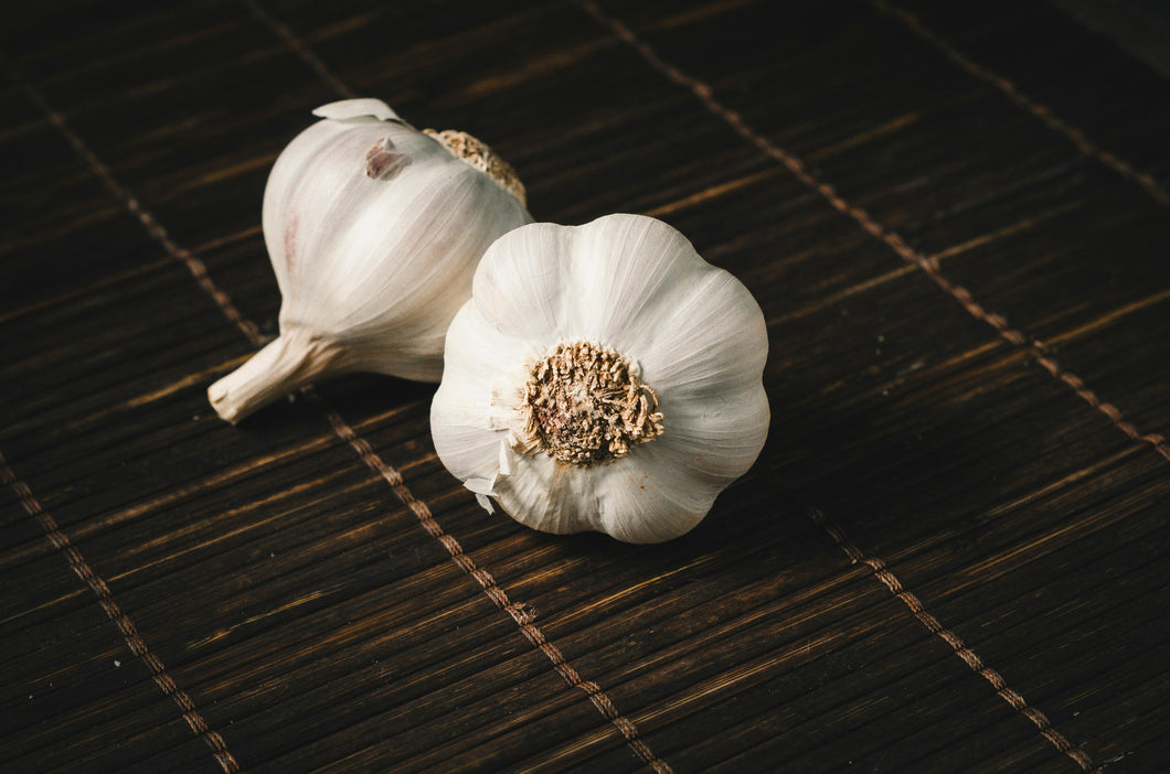 Garlic French White