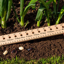 Load image into Gallery viewer, Planting Ruler
