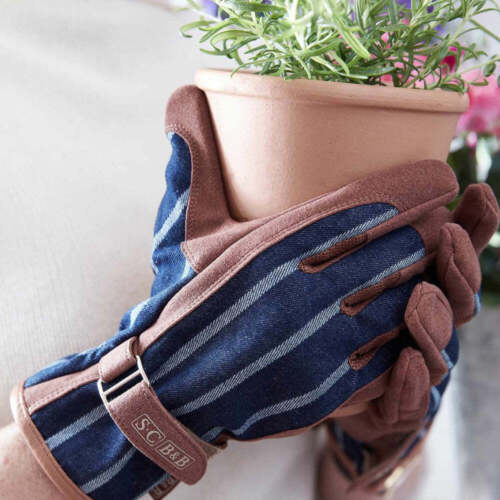 Sophie Conran Striped Glove - Blue