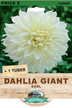 Load image into Gallery viewer, Dahlia Giant Earl
