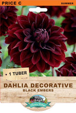 Load image into Gallery viewer, Dahlia Black Embers
