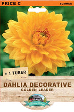 Load image into Gallery viewer, Dahlia Golden Leader
