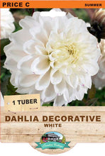 Load image into Gallery viewer, Dahlia Decorative White
