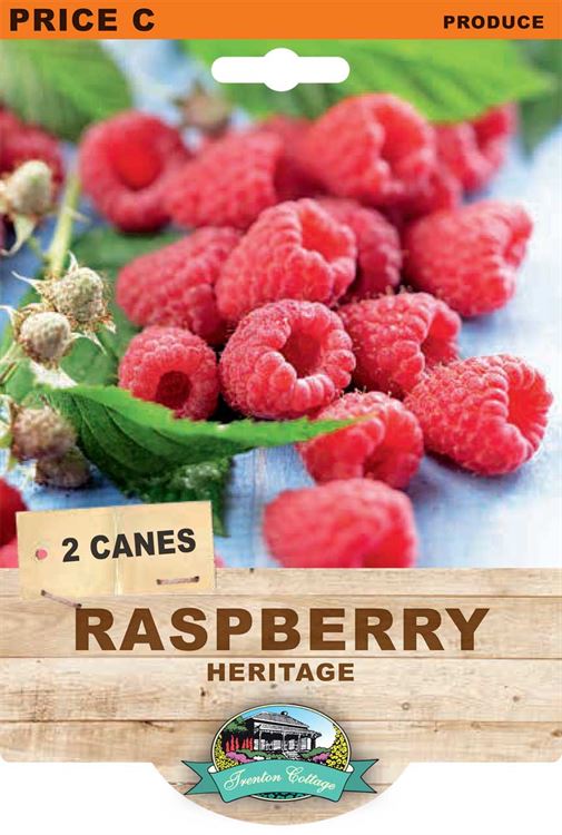 Raspberry Heritage