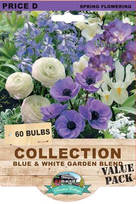 Blue & White Bulb Garden Collection 50pk