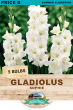 Load image into Gallery viewer, Gladiolus Sophie
