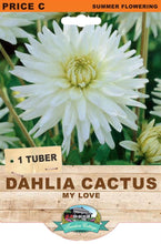 Load image into Gallery viewer, Dahlia My Love
