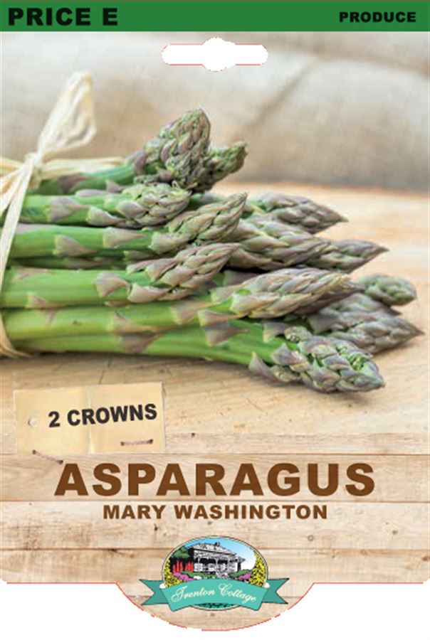 Asparagus - Mary Washington