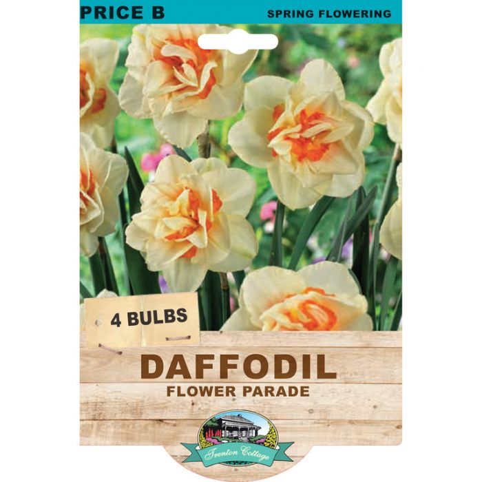 Daffodil Flower Parade