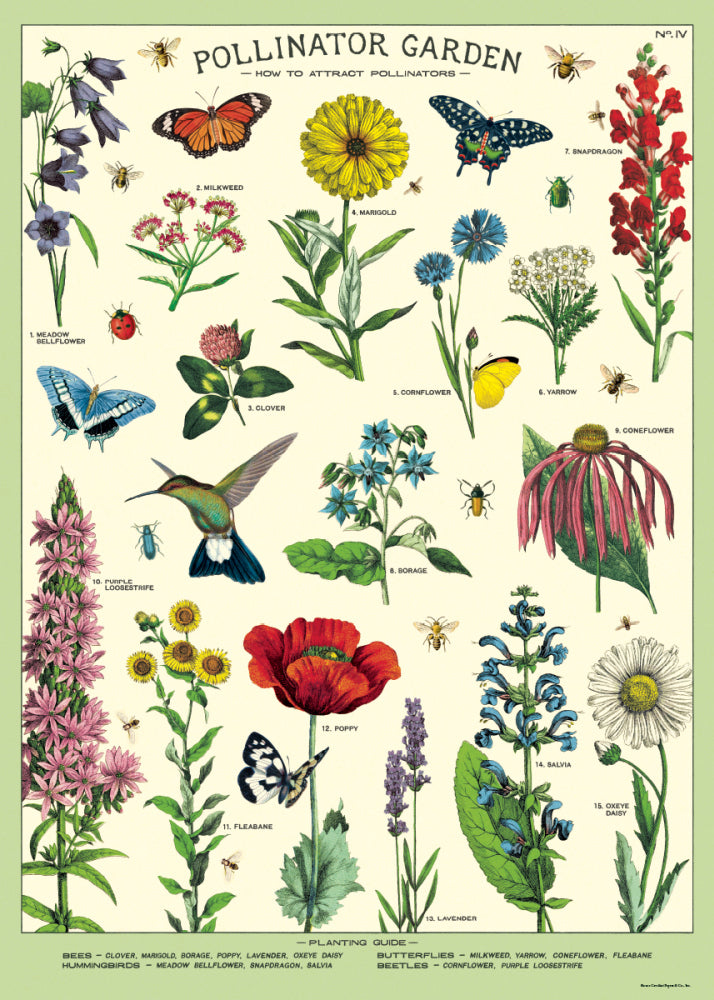 Cavallini Poster – Pollinator Garden