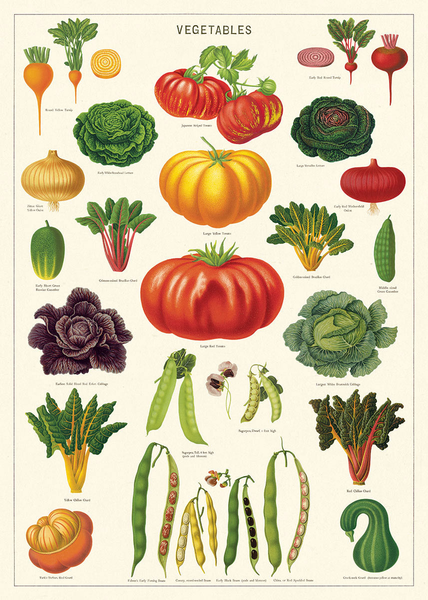 Cavallini Poster – Vegetable Garden