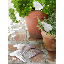 Load image into Gallery viewer, Sophie Conran for Burgon &amp; Ball Metal Herb Labels
