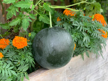 Load image into Gallery viewer, Watermelon Sugar Baby
