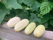 Load image into Gallery viewer, Cucumber Crystal Salad
