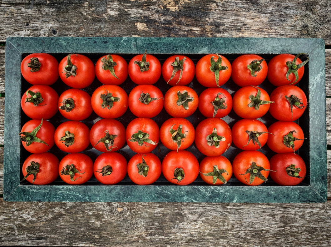 Tomato Tommy Toe