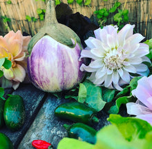 Load image into Gallery viewer, Eggplant Rosa Bianca

