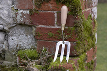 Load image into Gallery viewer, Sophie Conran for Burgon &amp; Ball Fork
