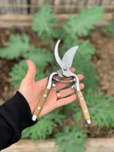 Load image into Gallery viewer, Ashwood Handled Secateurs
