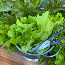 Load image into Gallery viewer, Lettuce Loose Leaf Mixed
