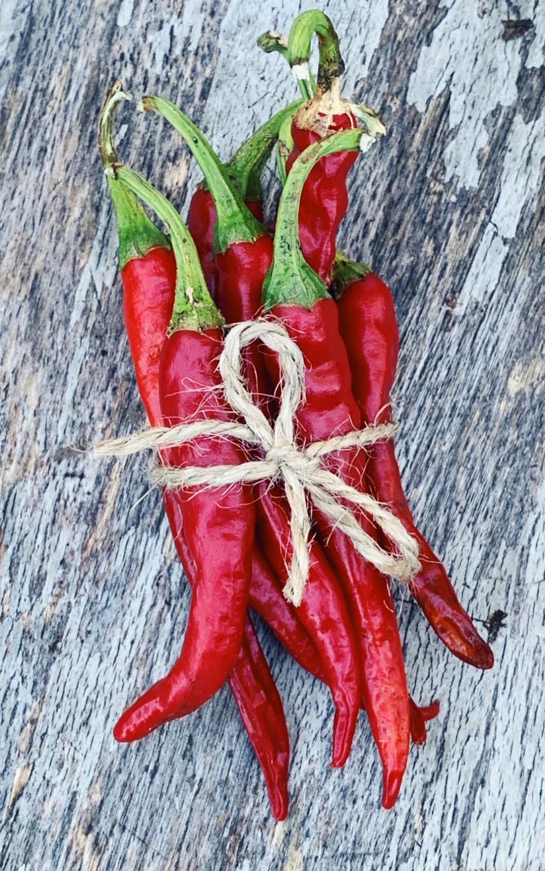 Chilli Cayenne Red