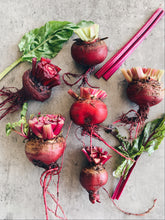 Load image into Gallery viewer, Beetroot Early Wonder
