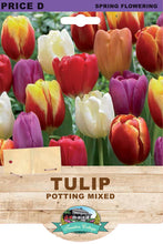 Load image into Gallery viewer, Tulip Potting Mixed 4pk
