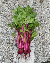 Load image into Gallery viewer, Beetroot Early Wonder
