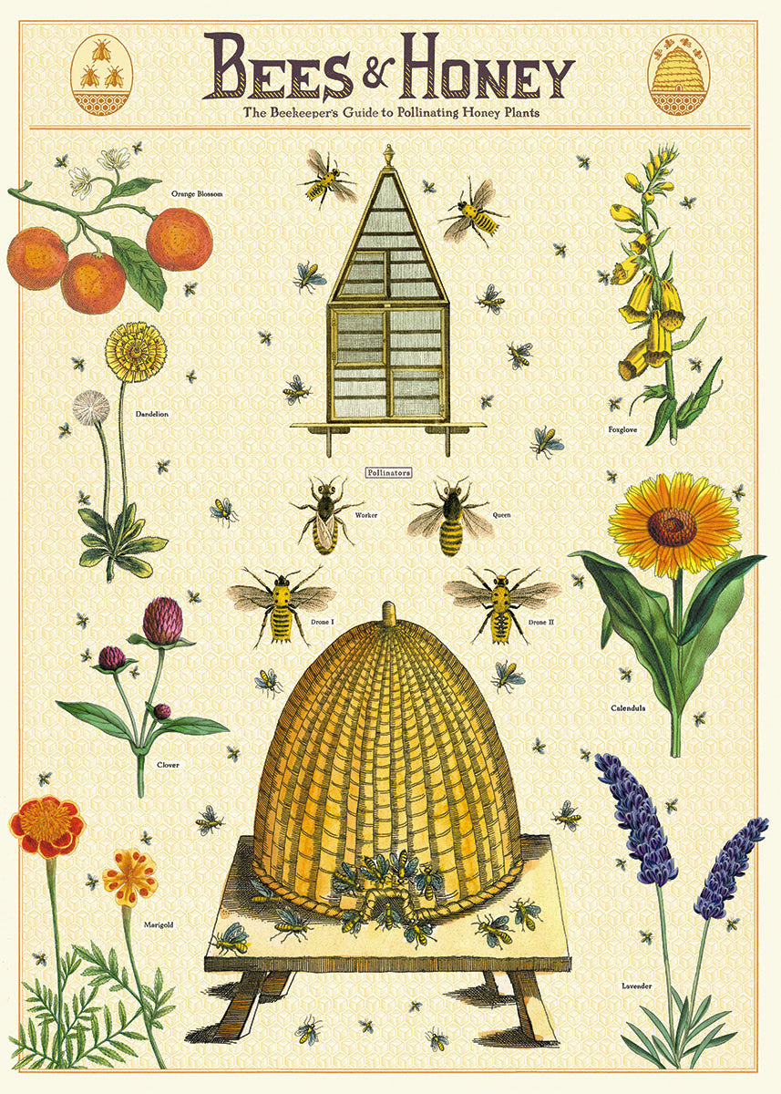 Cavallini Poster - Honey